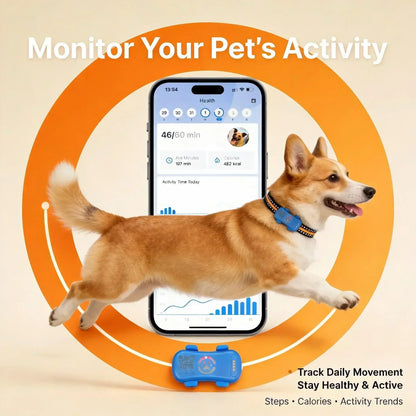 4G Pet GPS Tracker for Dogs & Cats – Real-Time Tracking, WiFi Positioning, Built-in SIM & IP67 Waterproof